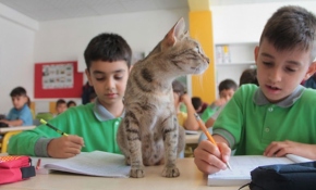 Sınıfın neşesi "Tarçın"