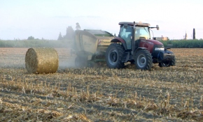 Hasadı yapılan ürünlerin atıklarından elektrik üretiliyor