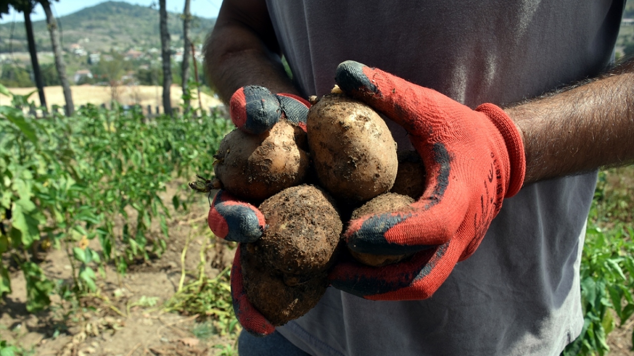 Rehabilitasyon programına yaklaşık iki aydır katılan B.S. (24) ise 10 yıl uyuşturucu kullandığını anlattı.