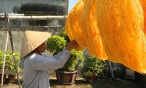 Vietnam'daki köyde geleneksel yollarla ipek böcekçiliği yapılıyor