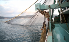 Denizlerdeki balık stokları azalıyor