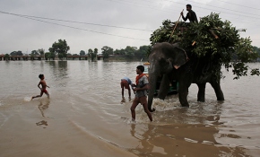 Hindistan'da şiddetli yağışlar bir haftada 59 can aldı