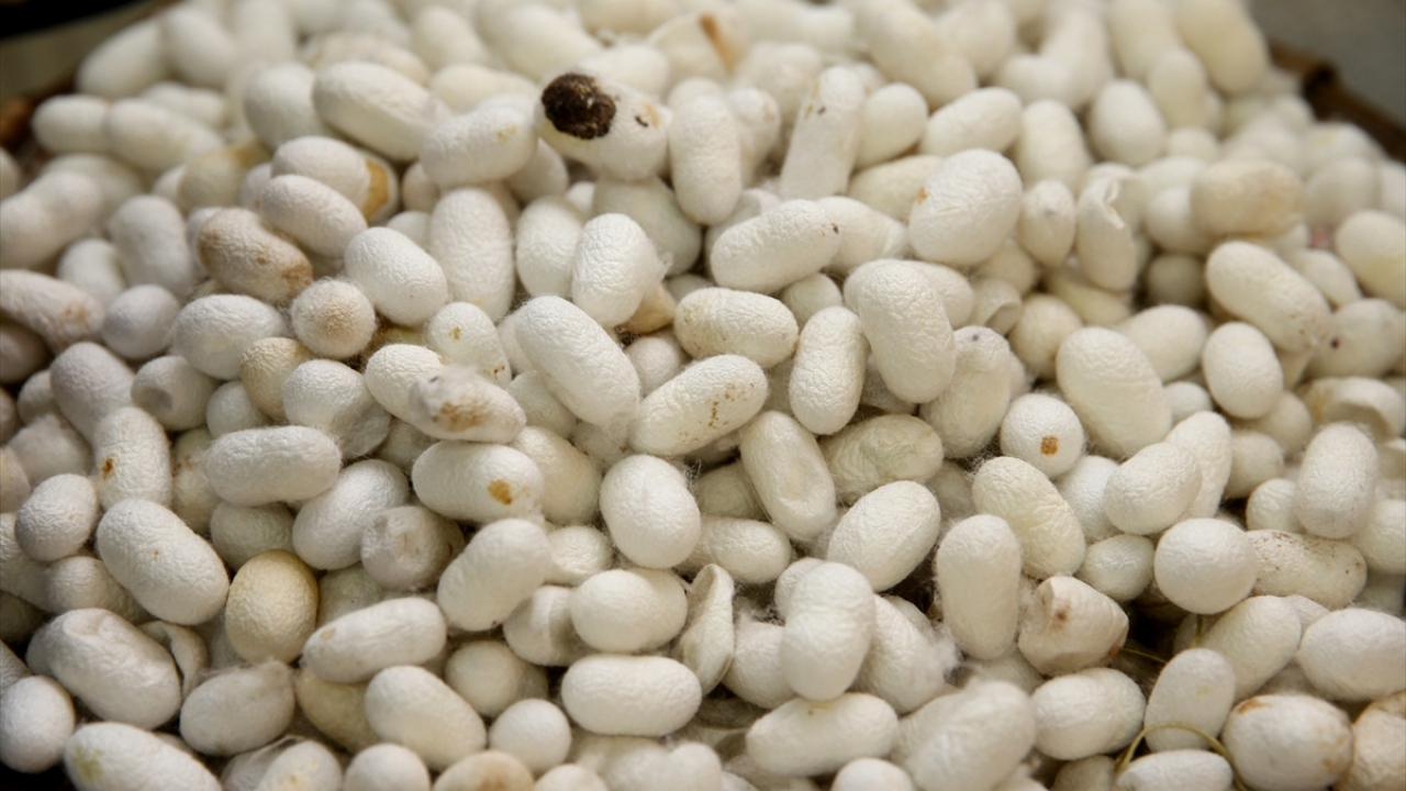 Firmanın genel müdürü Sefa Yıldırım, 35 yıldır imalat ve satış yaptıkları mağazaya çeşitli ülkelerden yılda ortalama 300 bin turistin geldiğini belirtti.