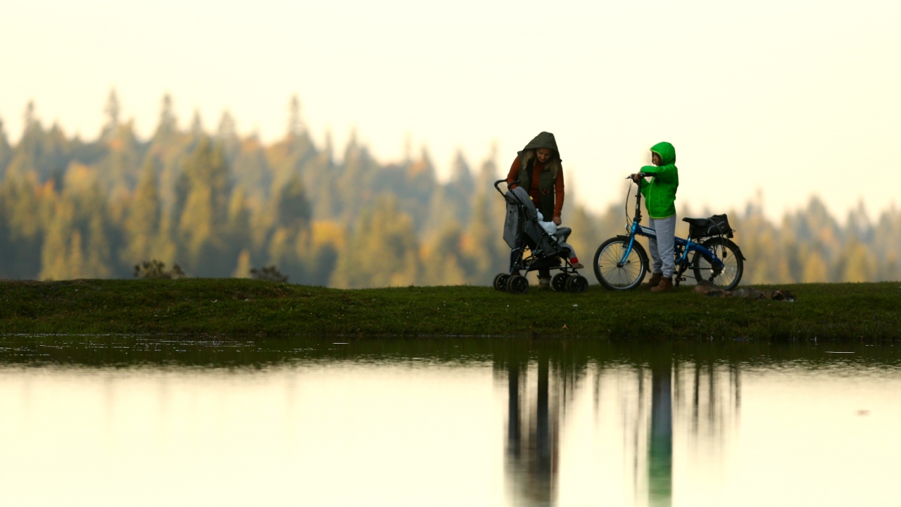 Düzce`de yaz aylarında değişen doğası ve açan çiçekleriyle nesillerdir yaylak-kışlak kültürünü sürdürenlere ev sahipliği yapan yaylalarda, sonbaharın gelişiyle kahverengi ve sarı renkler hüküm sürmeye başladı.
