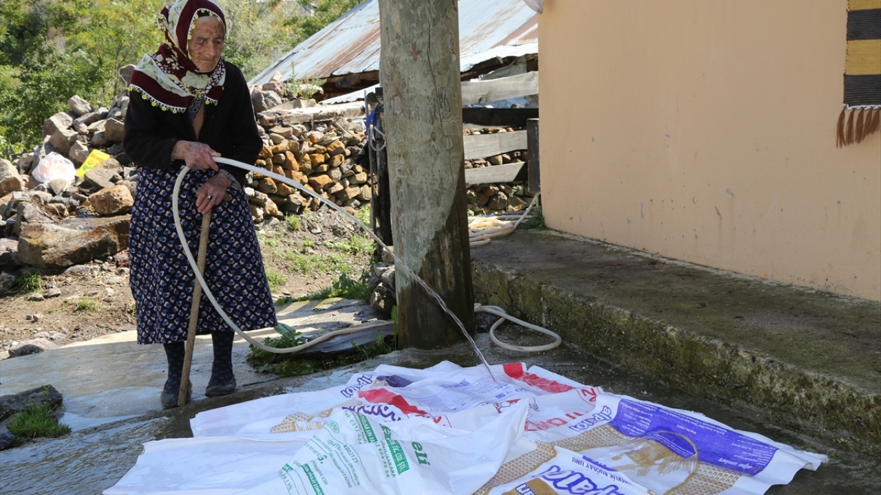 Torununun torununu da gören Döndü nine, her gün hayvanlarıyla ilgilenmenin yanı sıra odun kırıyor, ot biçiyor, ağaçlardan meyve topluyor, bağ bahçeyle uğraşıyor.