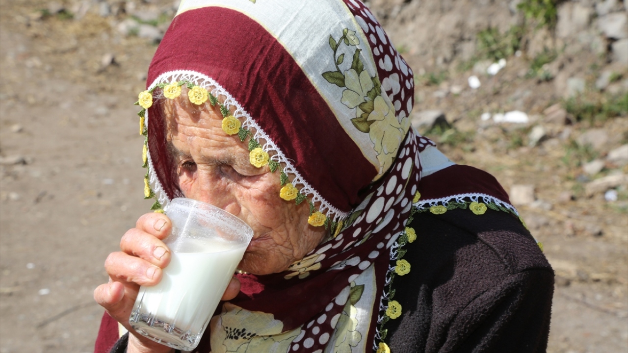62 yaşındaki Zeynep Yılmaz da annesinin sağlıklı olmasından mutluluk duyduklarını dile getirerek, "Annem bu yaşına rağmen her şeyle uğraşıyor. Çalışmadan yapamaz. Gücü yettiğince kendi işlerini kendisi görüyor." ifadesini kullandı.