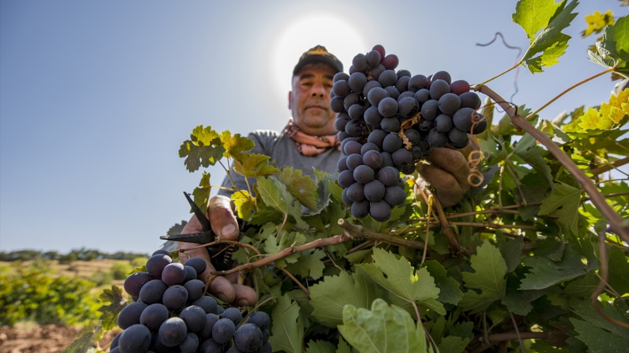 Adını üzümden alan ilçe