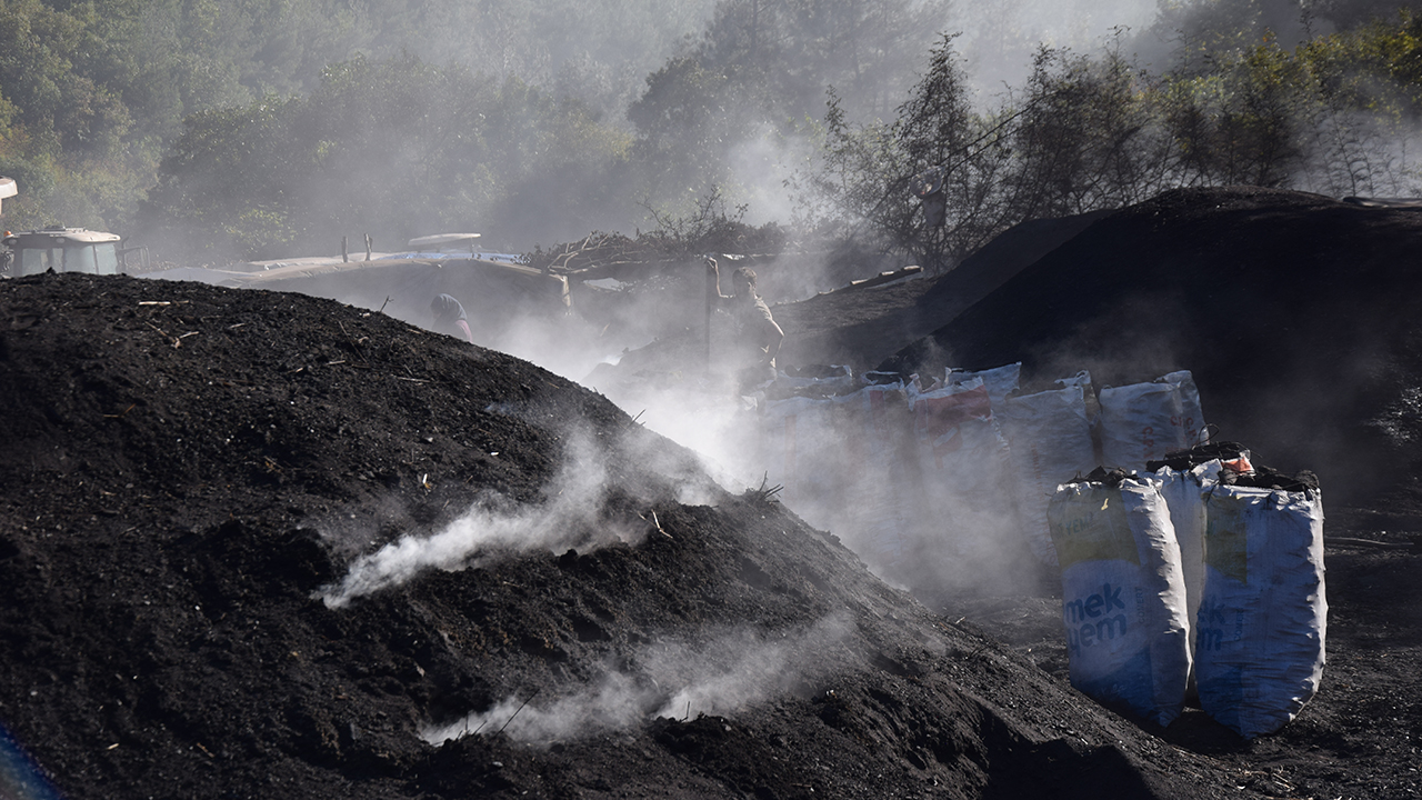 Daha önce Türkiye`nin farklı bölgelerinde çalışan 60 kişilik Özdemiralp, bu yıl da Sındırgı ilçesi kırsal Şahinkaya Mahallesi Kertil mevkisindeki ormanlık arazide kurdukları çadırlarda ekmek mücadelesi veriyor.