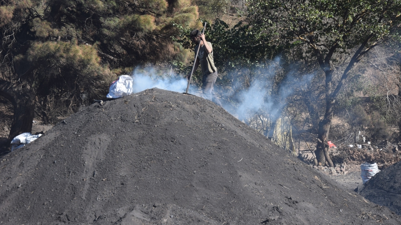 Bu işle uğraşmaya 49 yıl önce başlayan aile, üzeri saman ve toprak örtülü odunları yaklaşık 20 gün yakarak elde ettikleri kömürü çuvallara doldurup toptancılara satıyor.