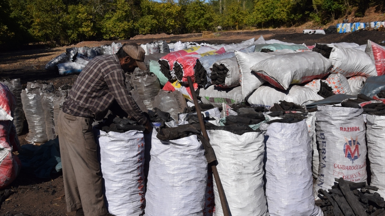 Kertil mevkisine geçen mart ayında gelerek mangal kömürü üretimi için çalışmaya başladıklarını belirten Özdemiralp, Mardin nüfusuna kayıtlı olduklarını ancak yıllardır Osmaniye`de yaşadıklarını dile getirdi.