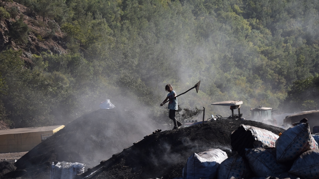 "Mangal kömürü üretiyoruz."