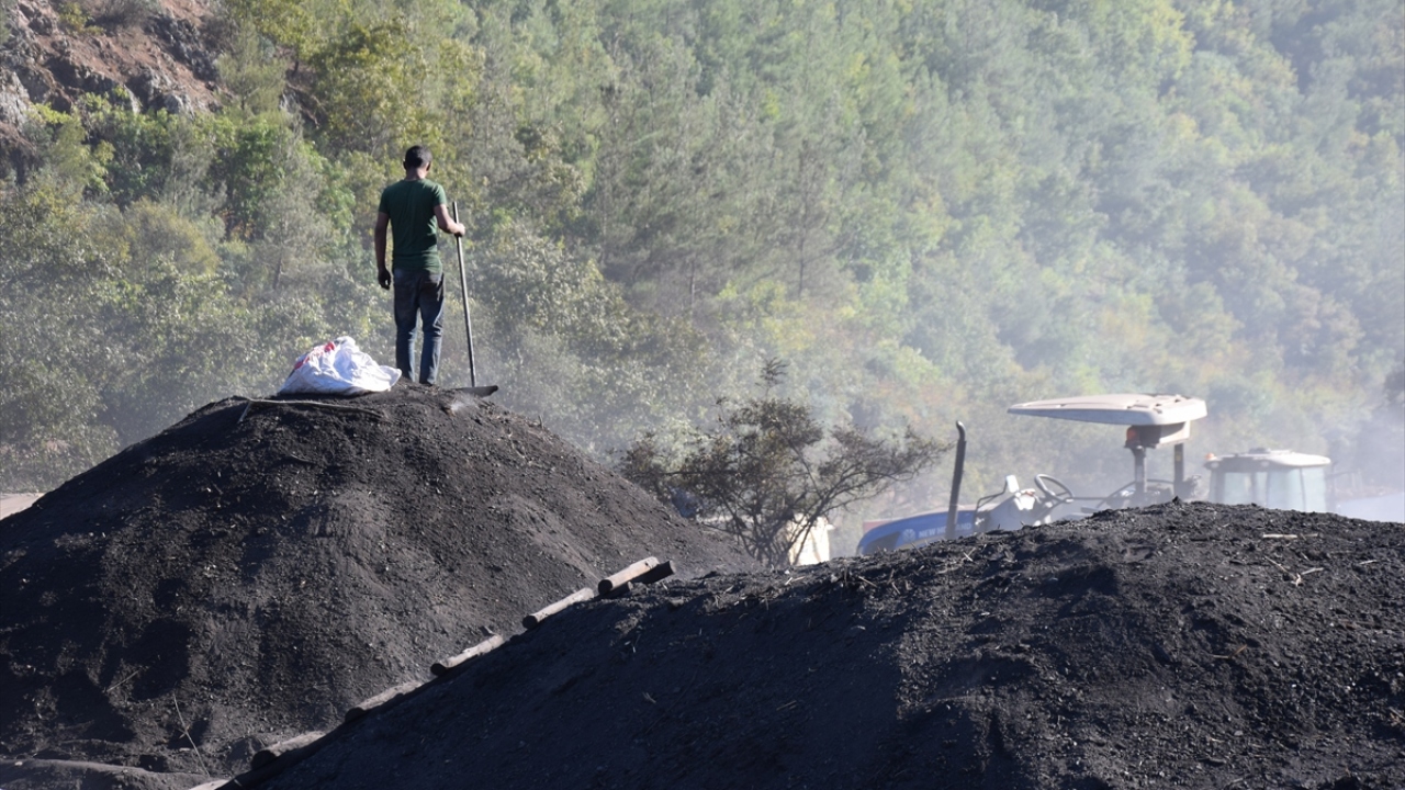 Ağaçtan tüketiciye mangal kömürünün hikayesi