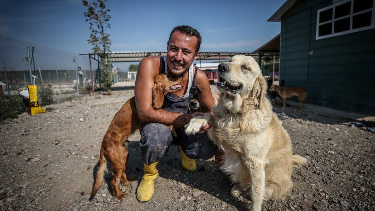 "En büyük ihtiyacımız mama"