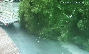 Bahçelievler'de ağacın devrilme anı kamerada