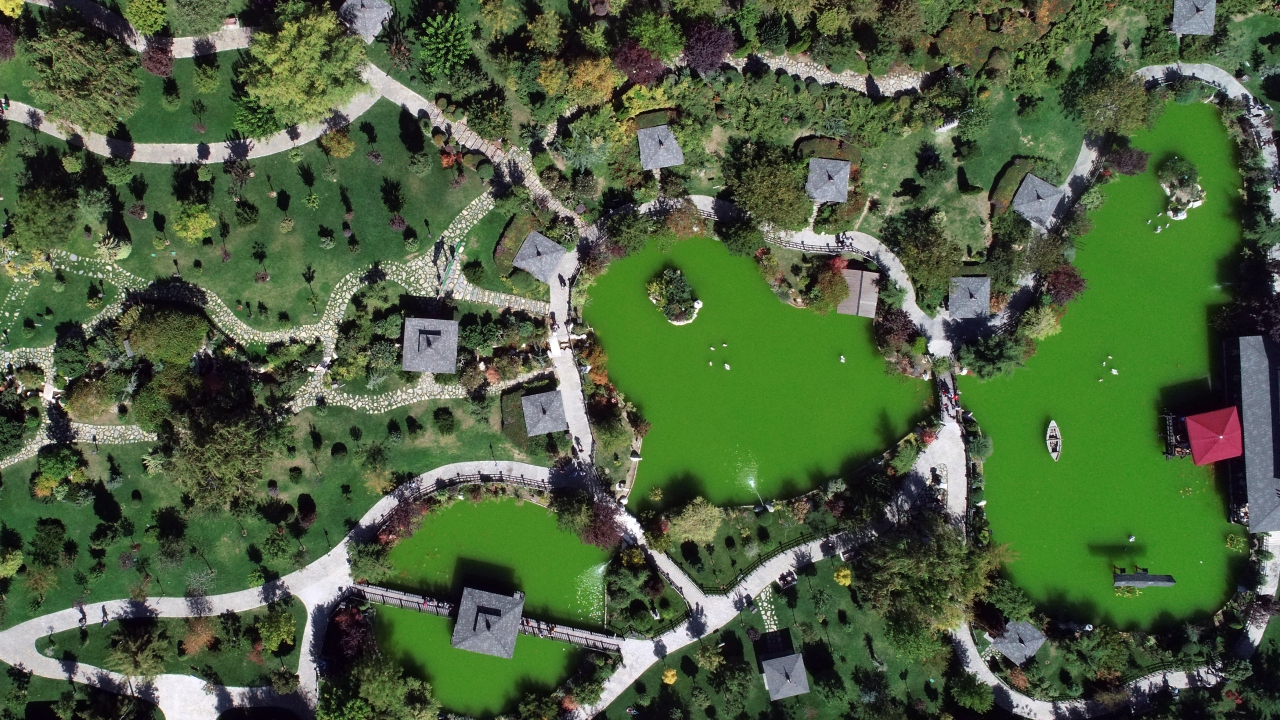 Konya ile Japonya`nın Kyoto şehri arasında kardeşlik ilişkilerinin geliştirilmesi amacıyla Büyükşehir Belediyesince yaptırılan Japon Kyoto Parkı, şehrin turizmine önemli katkı sağlıyor.