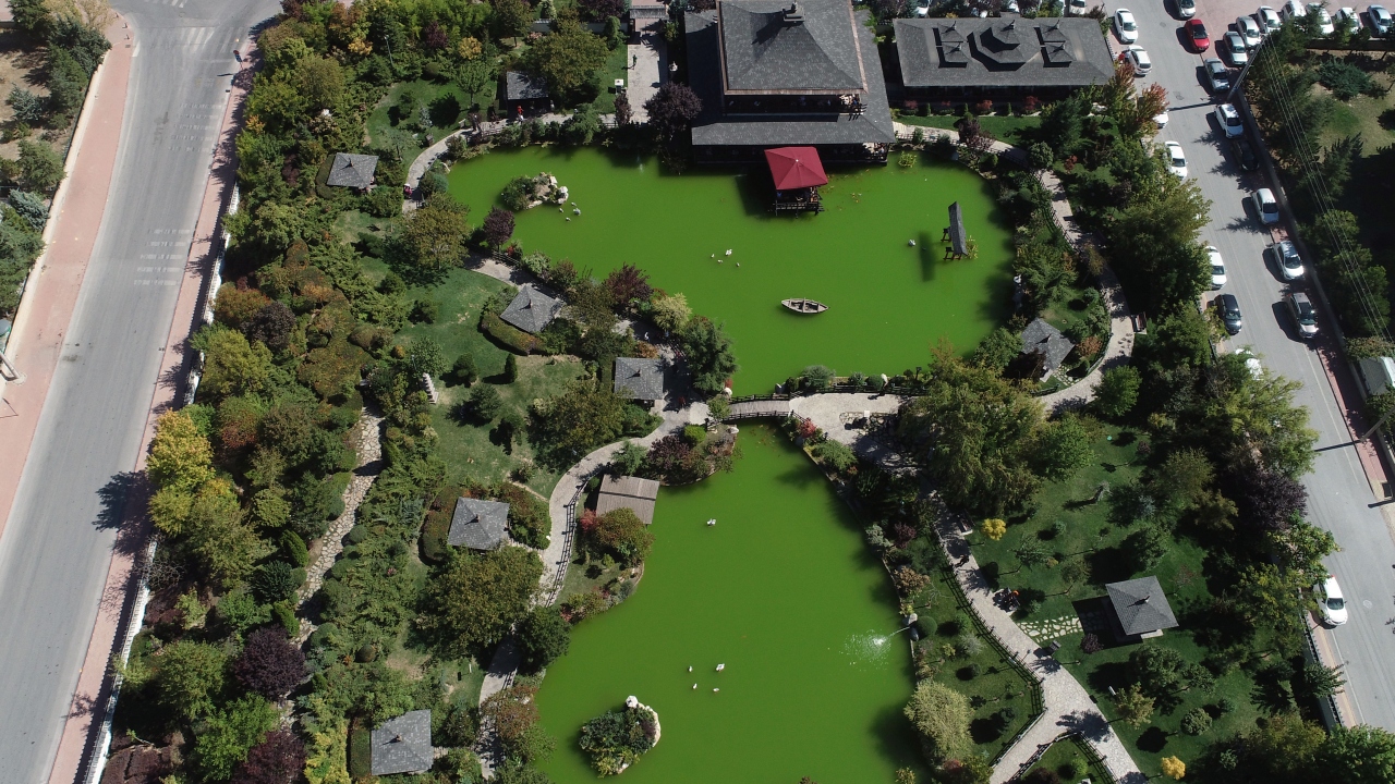 Parkı oldukça güzel bulduğunu belirten Sarı, şunları söyledi: