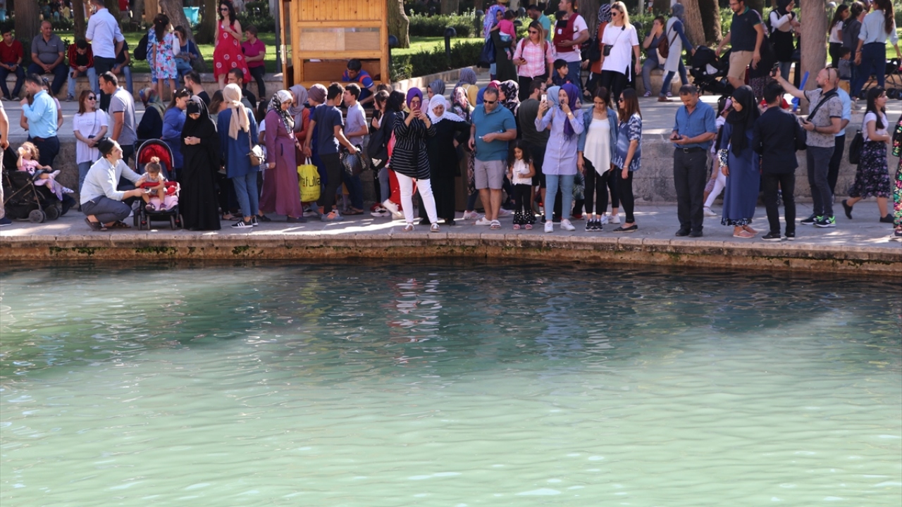 Yoğunluk nedeniyle yüzde 100 doluluk oranıyla hizmet veren kentteki otellerde kasım ayı sonuna kadar rezervasyonlar bulunuyor. 
