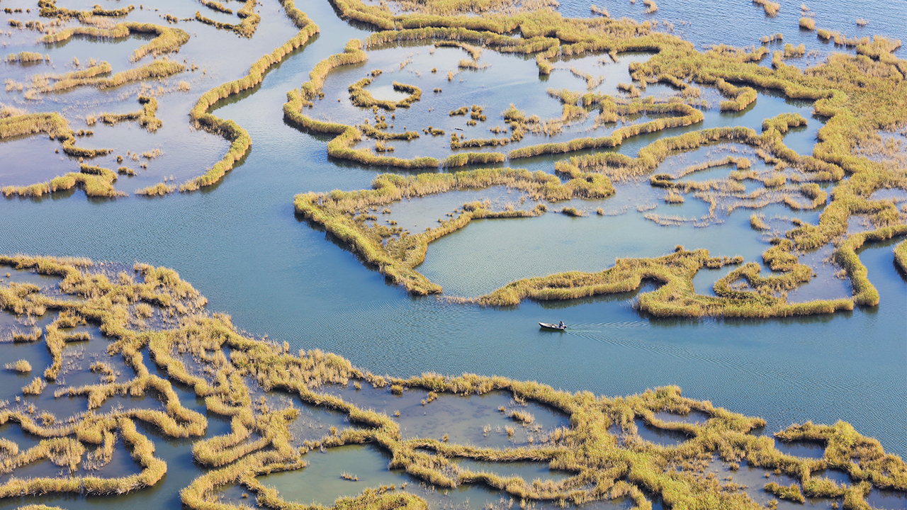 Köyceğiz ile Ortaca`nın Dalyan Mahallesi`nden İztuzu Plajı`na hareket eden turistler, sazlıklar arasında balıkçılları, caretta carettaları ve Dalyan kefalini izleyerek tura başlıyor. 