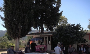 Bakkalını kesmeye kıyamadığı ardıcın etrafına yaptı