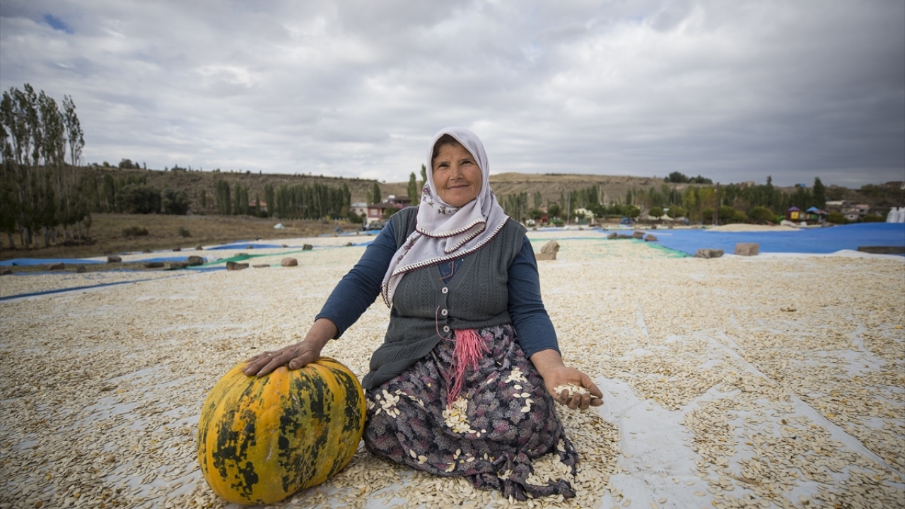 Türkiye`nin çerezlik kabak çekirdeği üretiminin yüzde 40`ının Kayseri`de yapıldığını dile getiren Öztaş, bu yıl kent üretiminin yaklaşık yüzde 30 arttığını ifade etti.