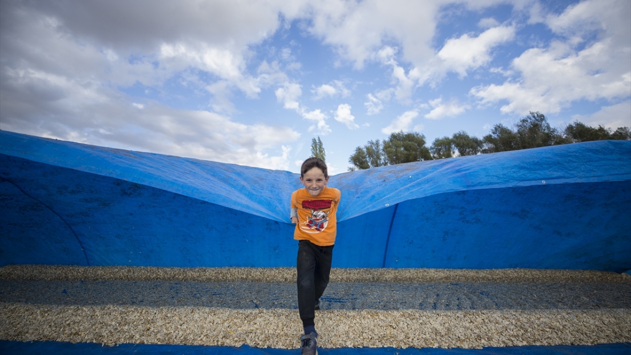 Öztaş, tarlalarda hasadın tamamlanmak üzere olduğunu belirterek, "Bu yılki yağışlarla hem verim hem de kalite iyi durumda." dedi.