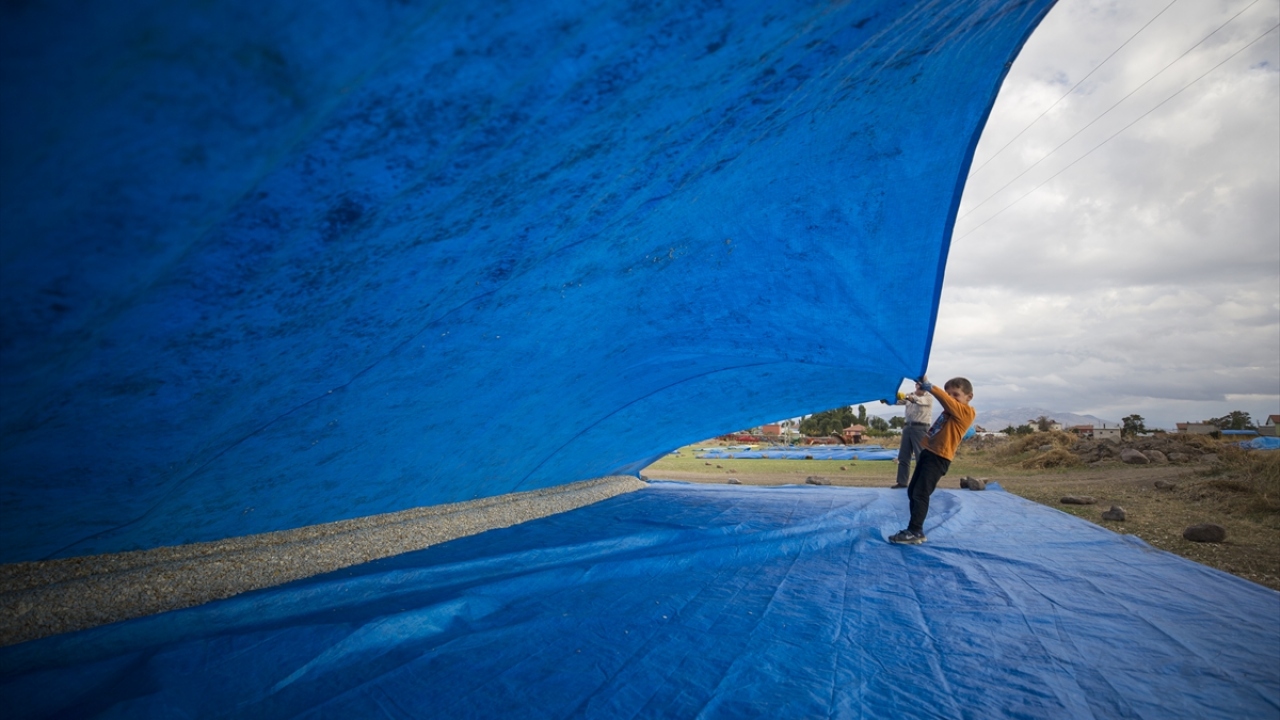 Kilogramı 12-15 lira