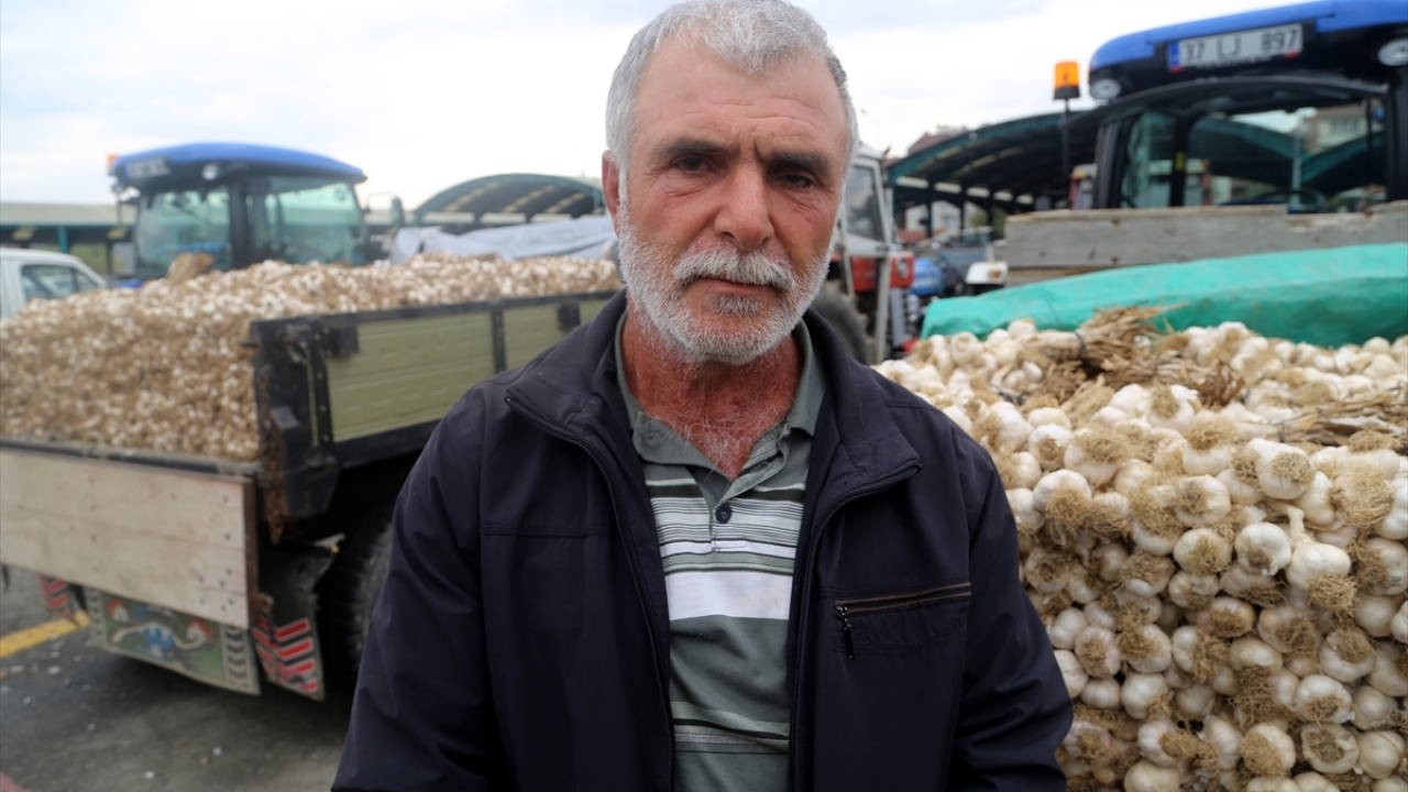 Üretici Ali Demirkıran ise 15 dekar alanda sarımsak ekimi yaptığını ve ürününü pazarda sattığını dile getirdi.