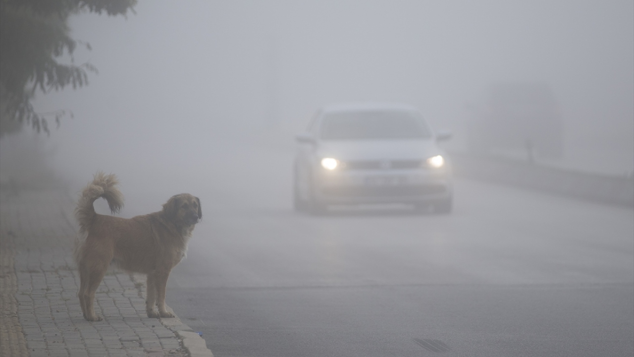 Meteoroloji yetkilileri, hava sıcaklığının 13 derece ölçüldüğü kentte, sisin öğle saatlerinde etkisini kaybedeceğini belirtti.