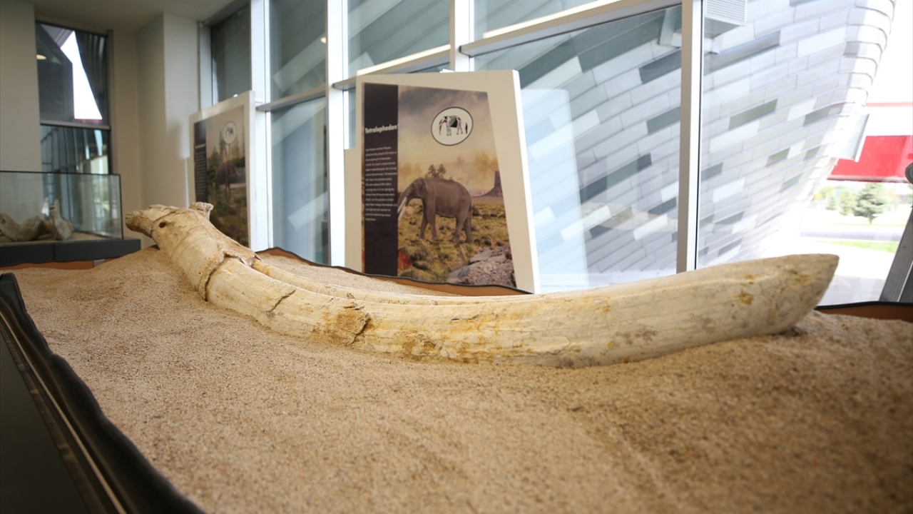 Dr. Juha Saarinen, Taşhan bölgesinde yürütülen çalışmalar sırasında ortaya çıkarılan fosilleri incelemek üzere Kayseri`ye geldi.