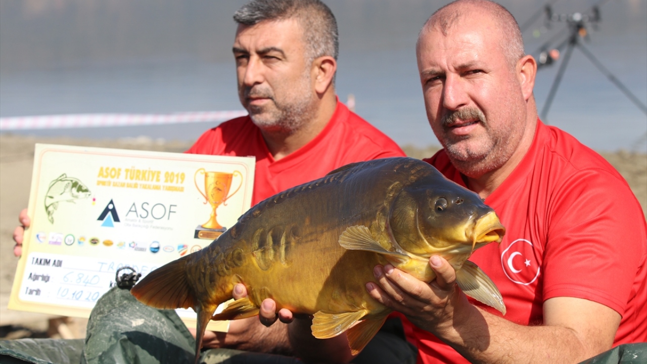 Yarışma, dereceye girenlere 12 Ekim`de düzenlenecek törenle ödüllerinin verilmesiyle sona erecek.