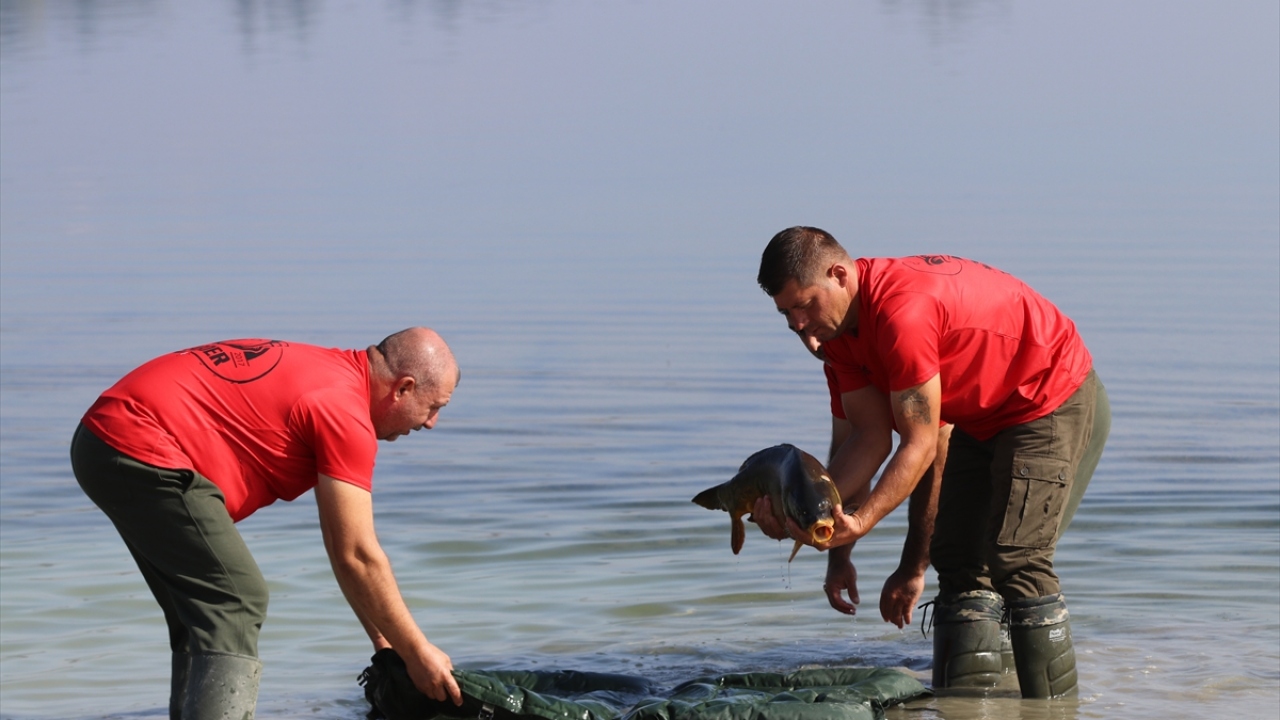 "Ciddi balık popülasyonu var"