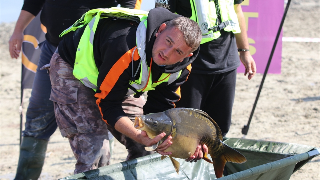İnanç, yakalanan balıkların zarar görmeden ölçümü ve tartımının yapılmasının ardından suya bırakıldığını ifade ederek, "Buradaki balıklar bizim için çok değerli. Takım, yakaladığı balığı öldürürse diskalifiye oluyor." dedi.