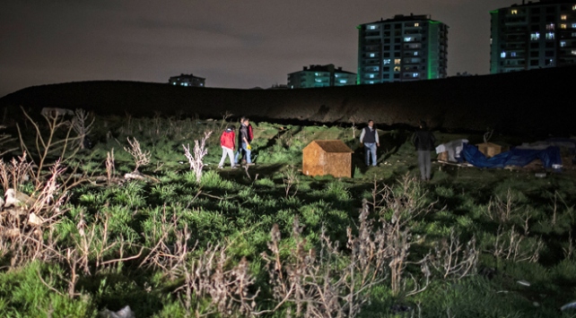 Sokak köpeklerinin zehirlenme anının görüntüleri ortaya çıktı