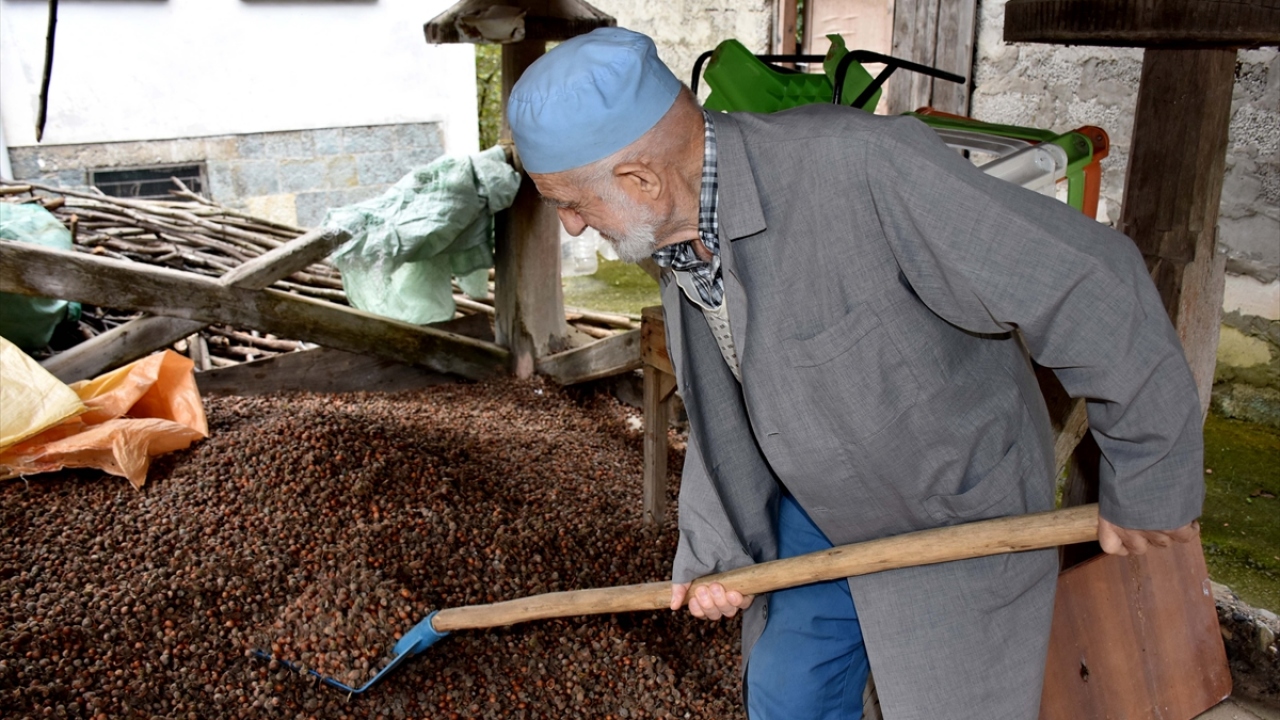 Karadeniz`in zor doğa koşullarında bahçesinin bakımını yaparak, fındık toplayıp kurutan, yemeğini ve gündelik işlerini yardım almadan yapan Çalık, mahalledeki evinde tek başına yaşıyor.