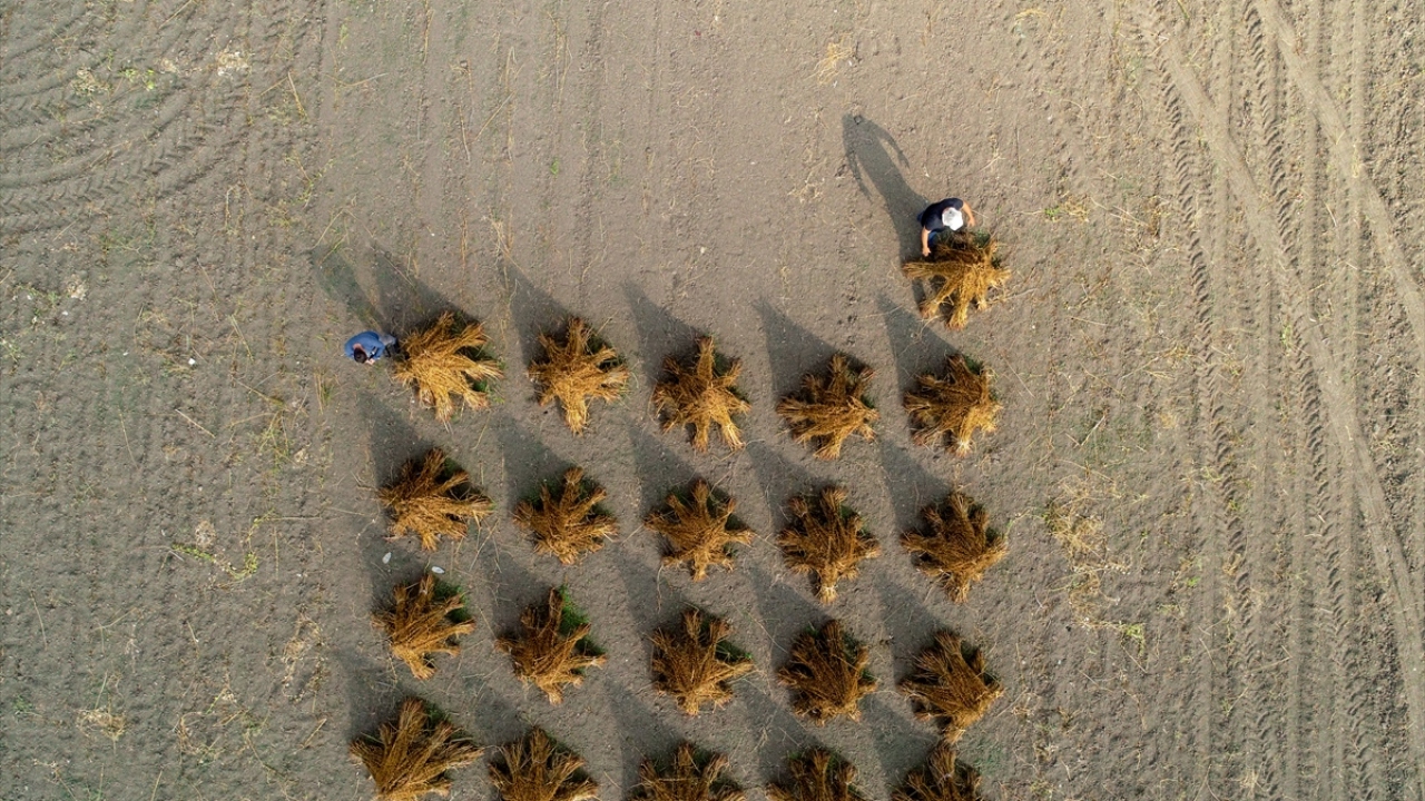 "Yağ oranı çok yüksek"