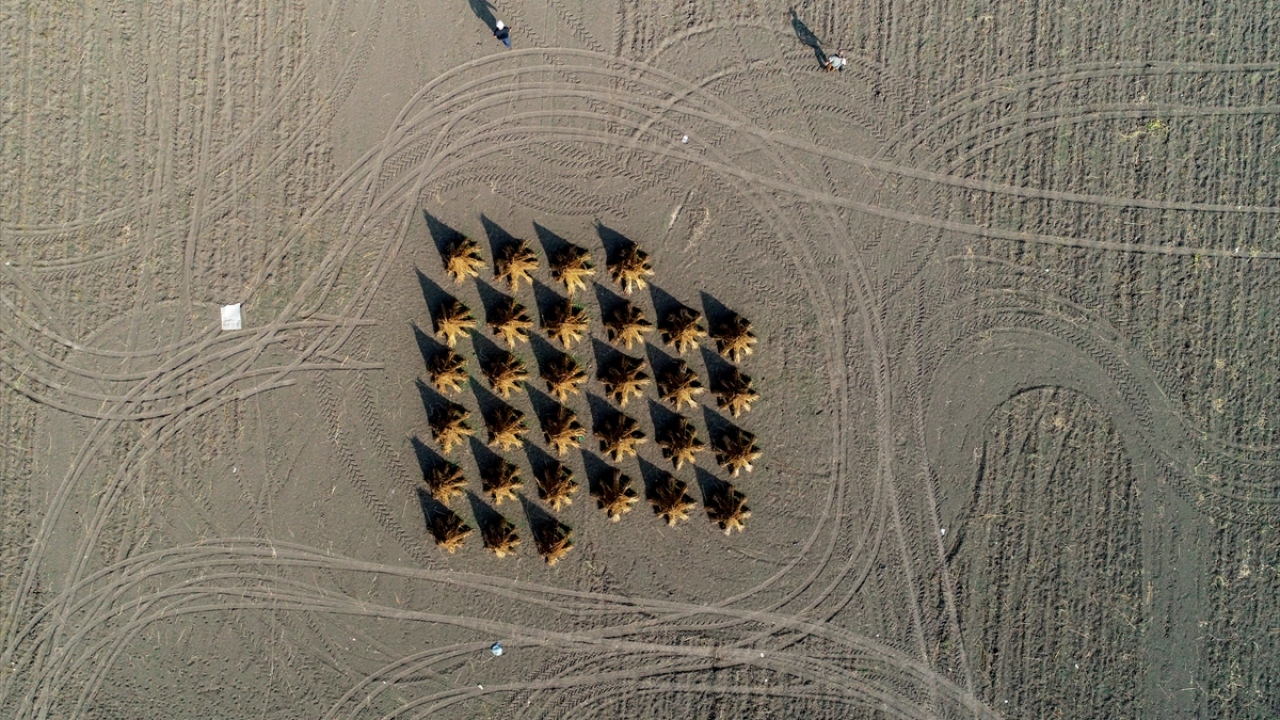  Kilogramı 15-18 liradan satılıyor