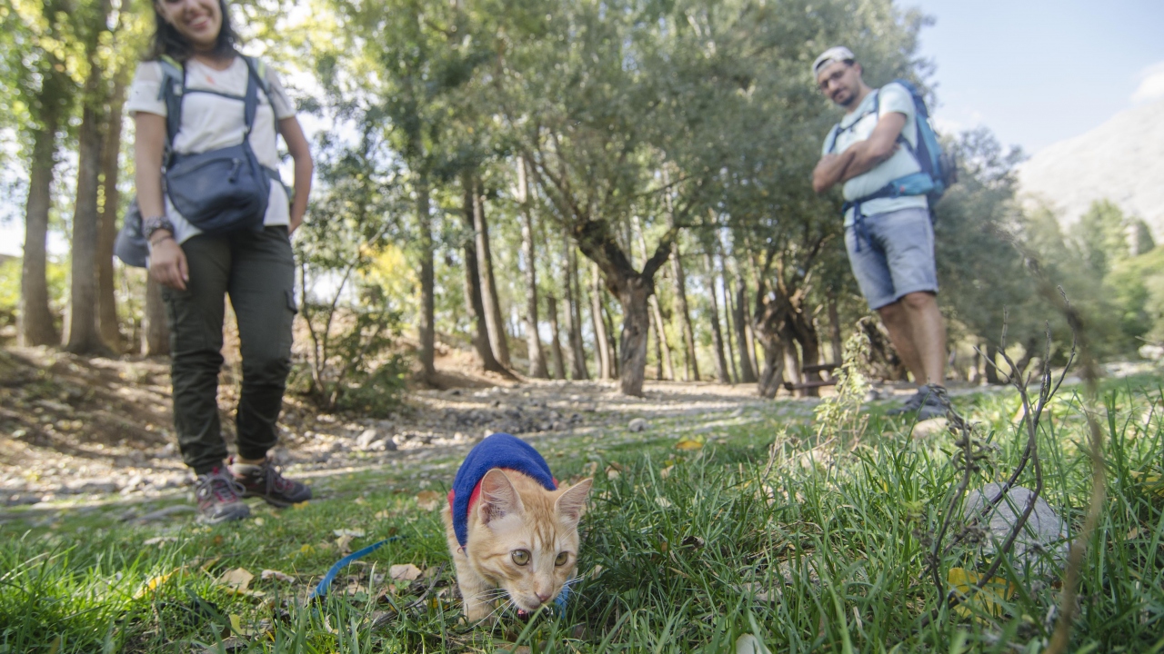"Azman ile yaşamaktan mutluyuz"