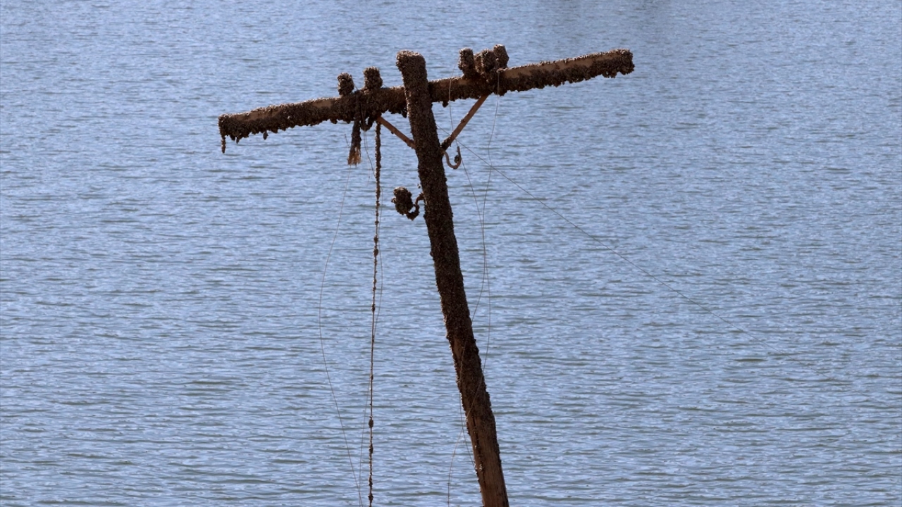 Balıkçı Burak Demir de suların çekilmesiyle köprüyü yeniden görmenin heyecanını yaşadıklarını anlattı.