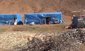 Teröristler yayla evlerindeki erzağın peşinde