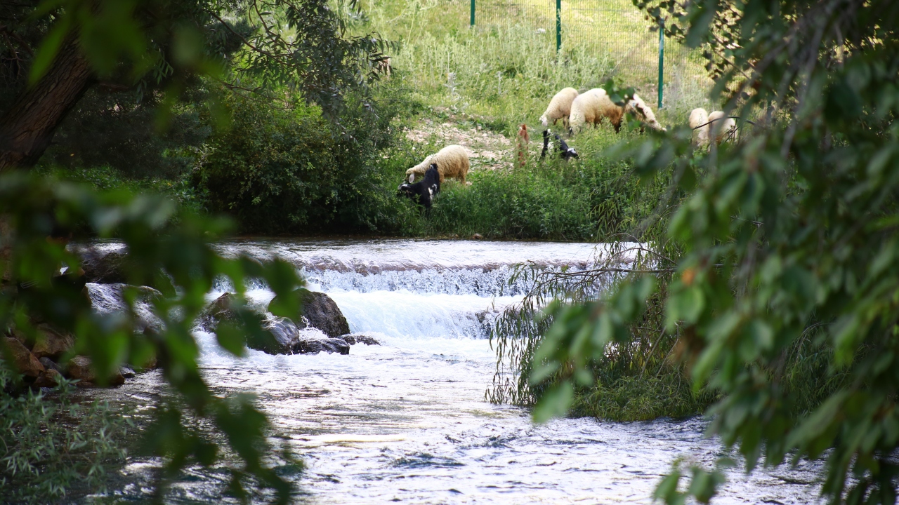 Gana`dan Türkiye`ye gelen Sadık Cibi de sık sık ülkeyi ziyarete geldiği belirterek, İvriz’i çok beğendiğini söyledi. 