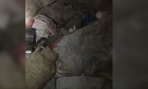 Terör örgütü PKK'ya ağır darbe: 118 terörist etkisiz hale getirildi