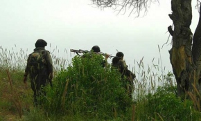 3 binin üstünde çocuk ve genç terör kamplarında hayatını kaybetti