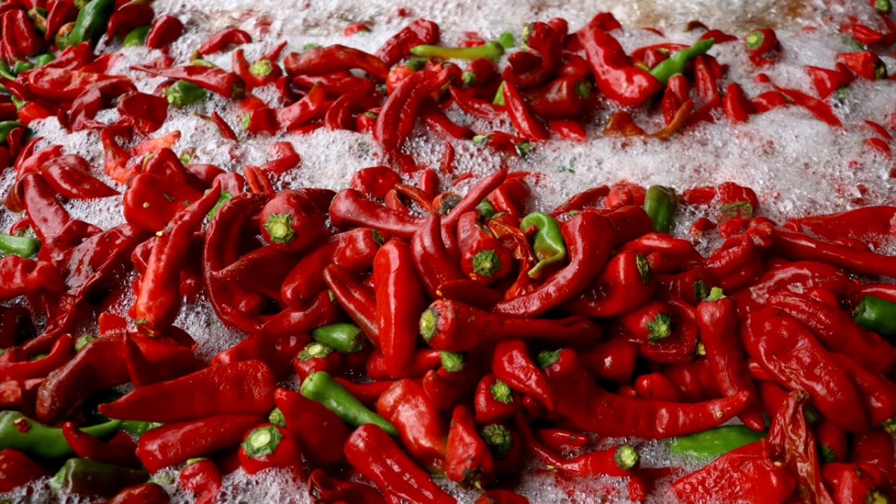 Kulaca Tarımsal Kalkınma Kooperatifi, Bursa`nın İnegöl ilçesinde 1974 yılında kuruldu.