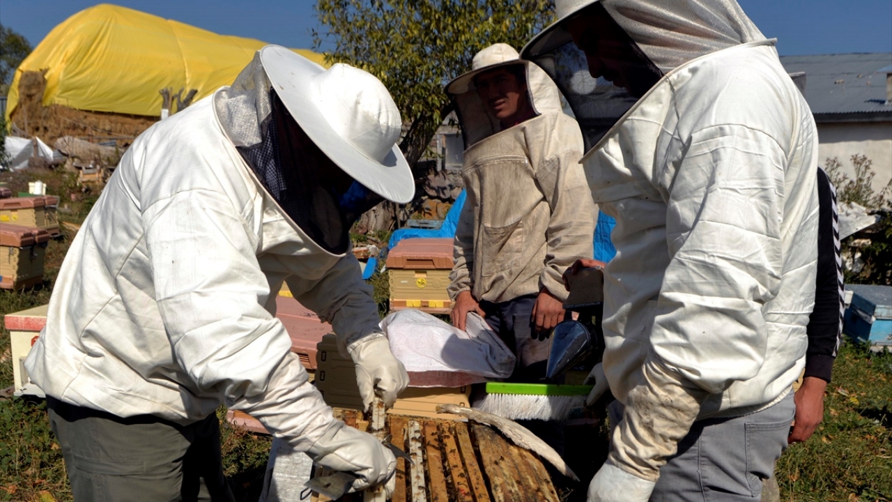 "Kafkas arısının özelliği, soğuğa dayanıklı olması"