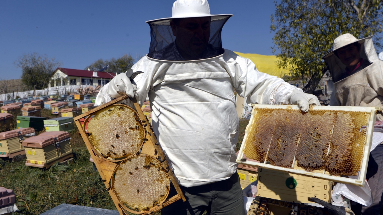 Son yıllarda arılarını tamamen dışarıda kışlatan arıcı Necdet Bilgin`in buna iyi bir örnek olduğunu ifade eden Yazıcı, şöyle konuştu: