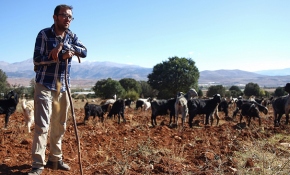 Keçilerin çobanı, mahallelinin öğretmeni