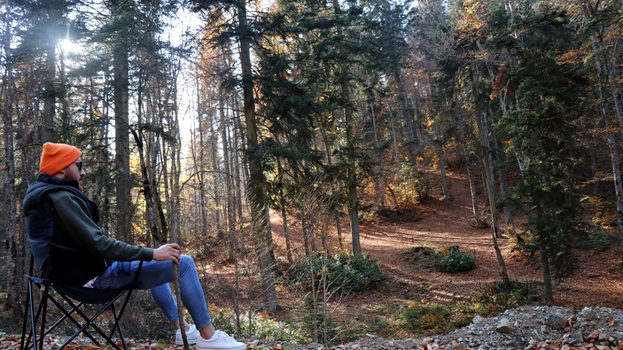 Düzce`ye yaklaşık 25 kilometre uzaklıkta bulunan 1400 rakımlı Pürenli ve Balıklı yaylaları, sonbaharda da misafirlerine seyrine doyumsuz manzaralar sunuyor.