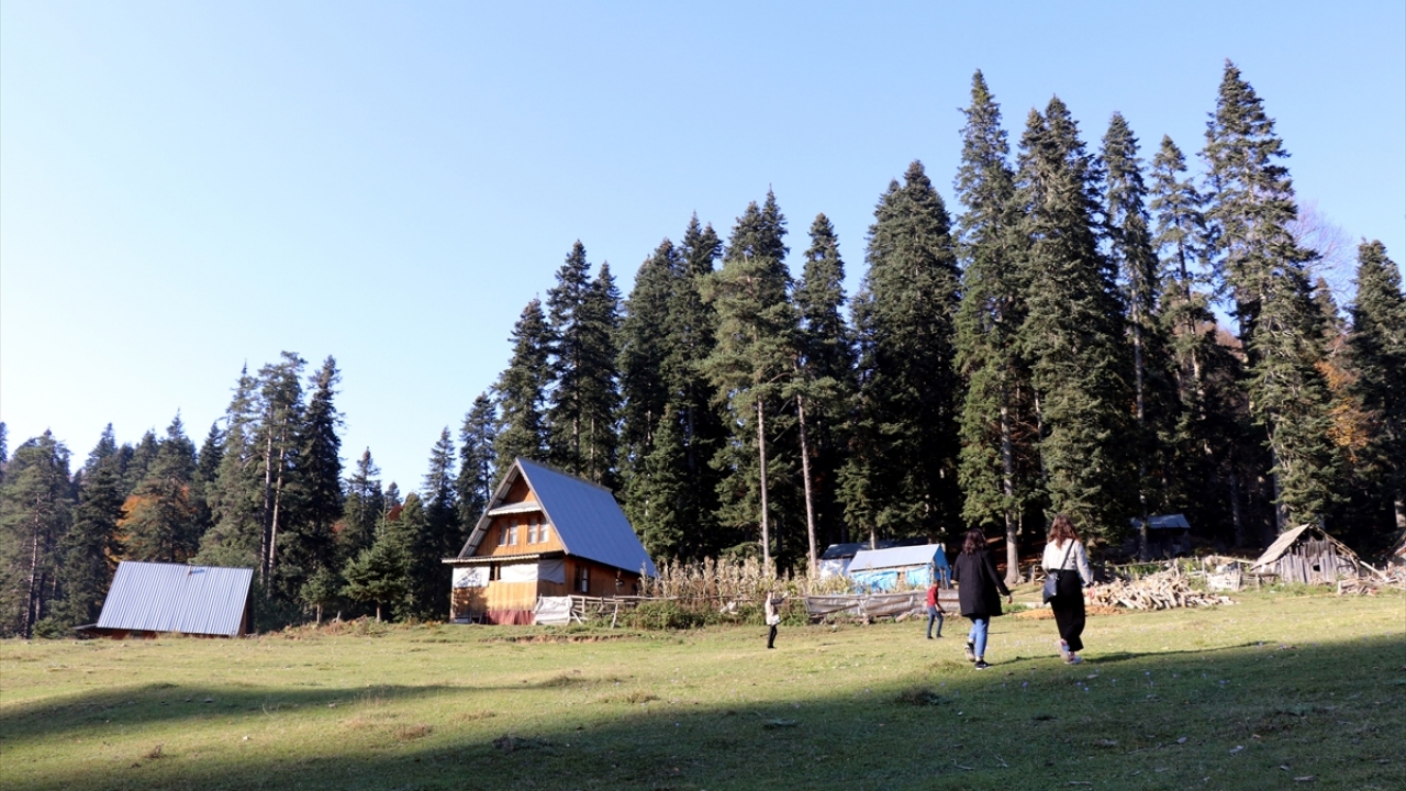 Bölgeye kamp yapmaya gelen doğaseverler, Pürenli Yaylası`ndaki göletin çevresine çadırlarını kurarak manzaranın tadını çıkarıyor. 