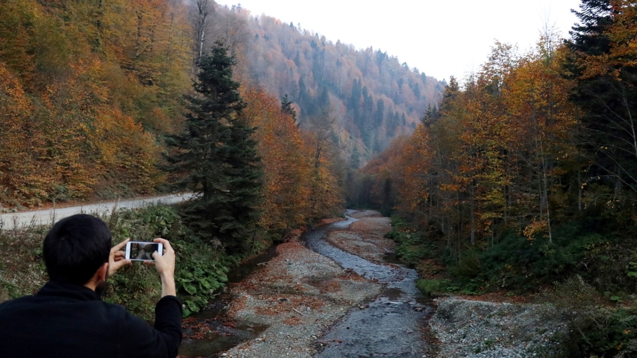 Bölgede kamp yapanlardan Mustafa Karaca, yaptığı açıklamada, sonbaharın renklerini yakından görmek için Pürenli Yaylası`nı tercih ettiklerini belirtti.