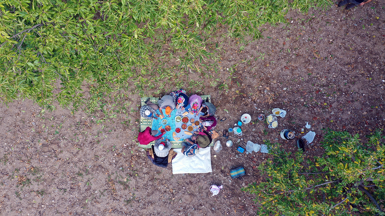 Aydın`da kestane hasadının başlamasıyla birlikte yaklaşık 15 metrelik ağaçlara çıkan "sırıkçı" adı verilen erkek tarım işçileri, dallar üzerinde adeta cambaz gibi hareket edip kestaneleri yere düşürüyor.